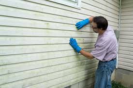 Trusted Meadowbrook, CA Siding Experts